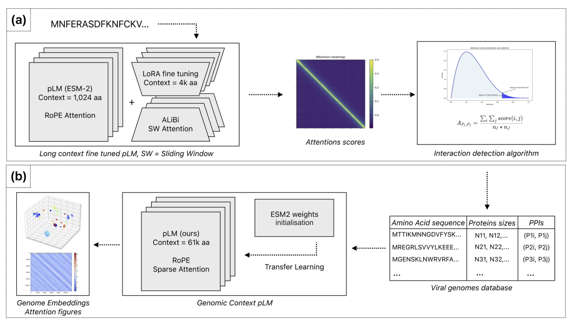 Extending-pLMs