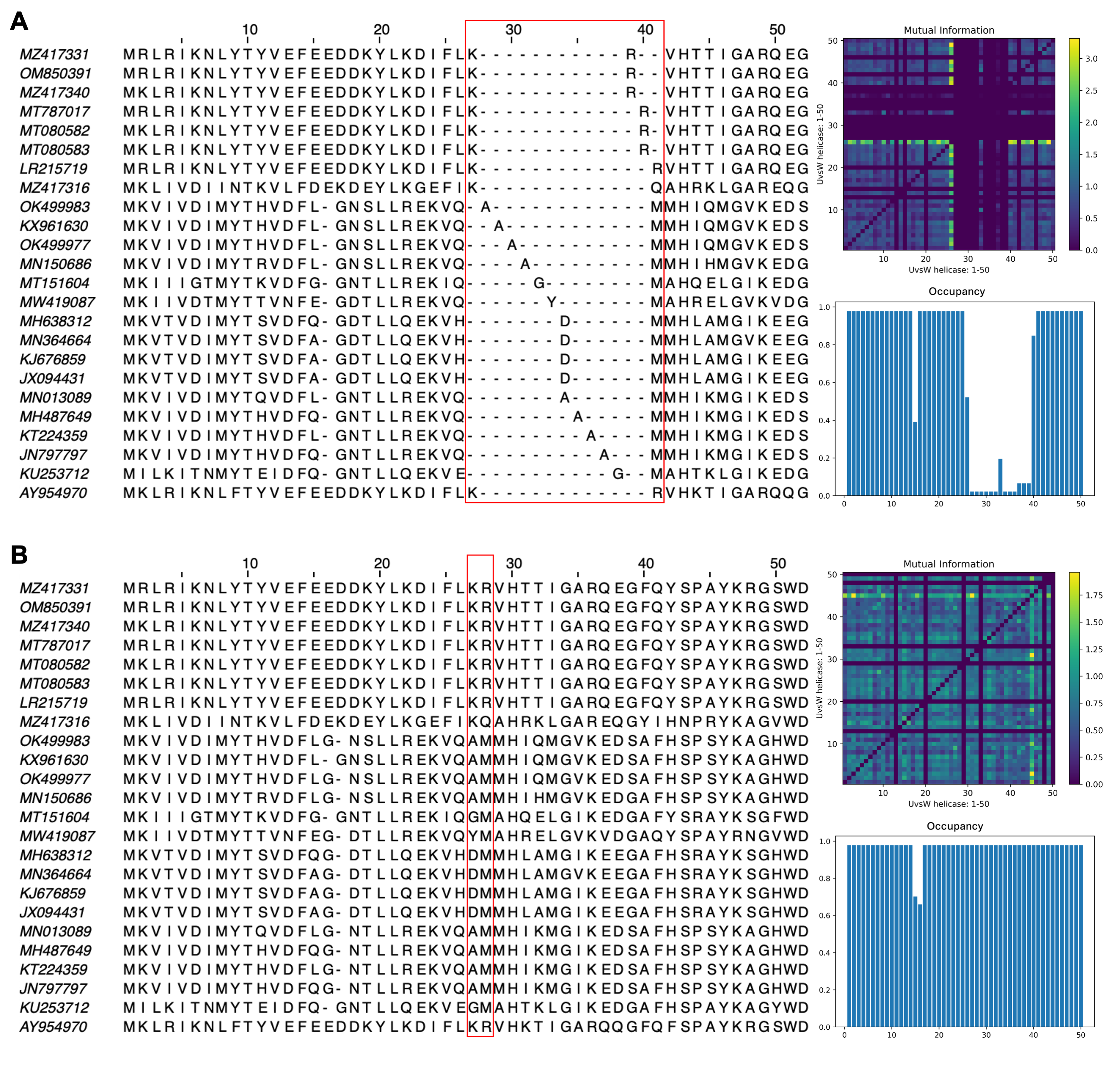 Viral Fine-tuning